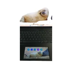 LAPTOP ASUS ZenBook UX535L – 15,6