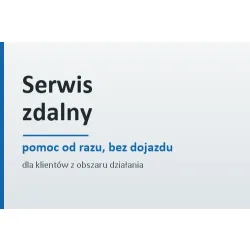 Serwis zdalny – pomoc od razu, bez czekania na dojazd